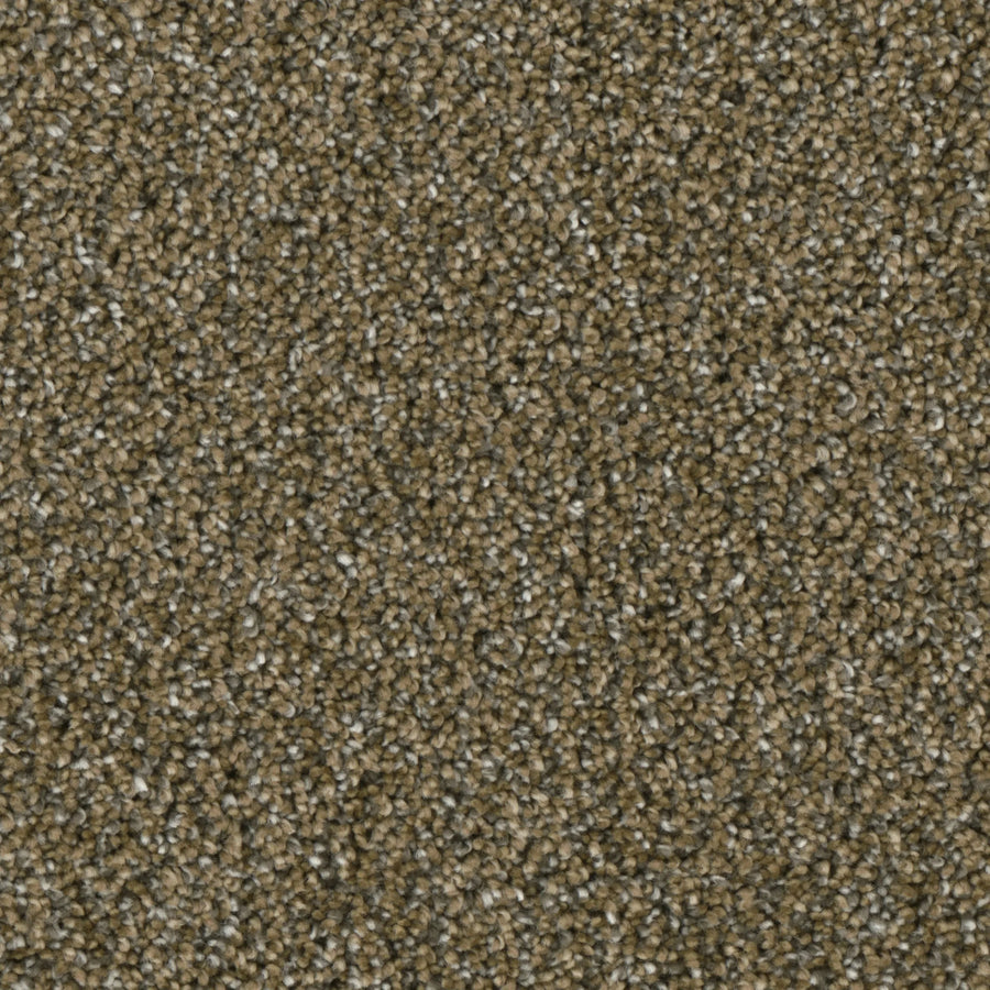 Primco - Estates Carpet - Majesty Collection - Vision