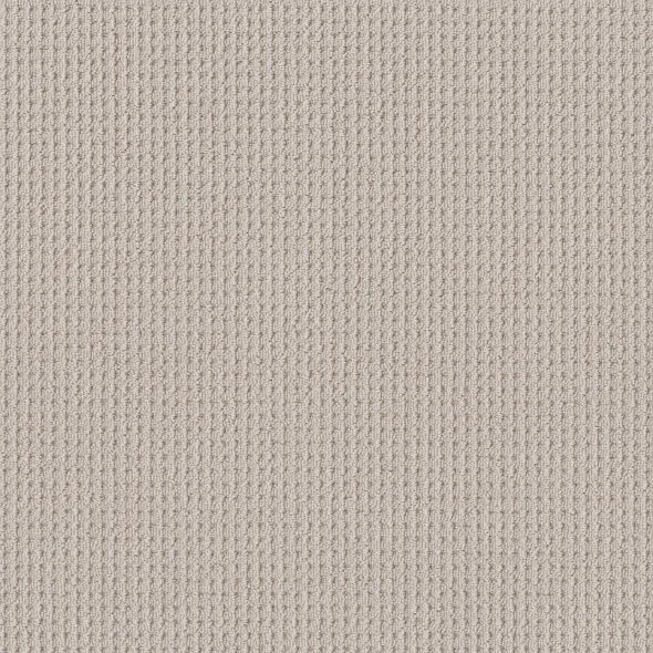 Shaw Floors - Carpet - Foundations Collection - Faint Intent - Winters Dawn