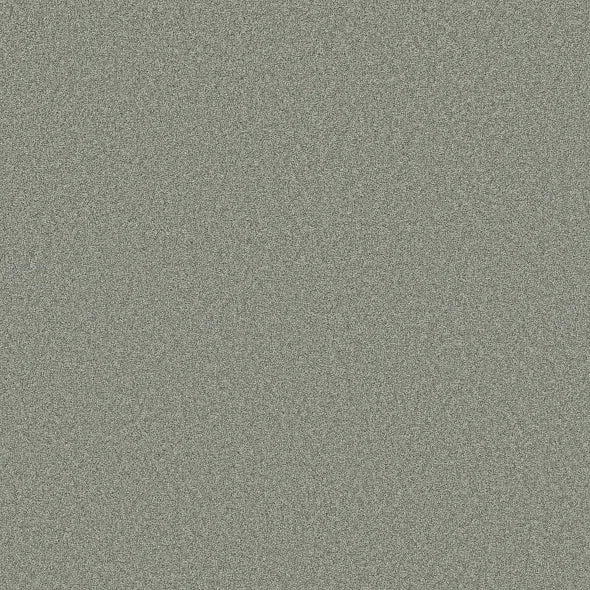 Shaw Floors - Carpet- Foundations Collection - HARMONIOUS II - Water's Edge