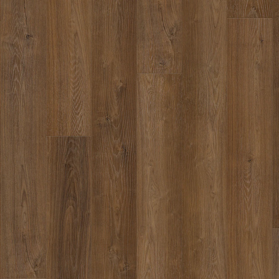 BIYORK - HydroGen 6 - Woodland