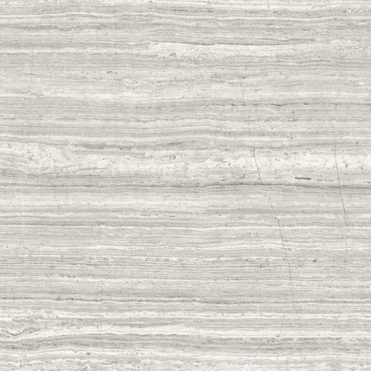 OLYMPIA TILE + STONE - Eterna Series - Porcelain Tile - Ash - 24" x 24"