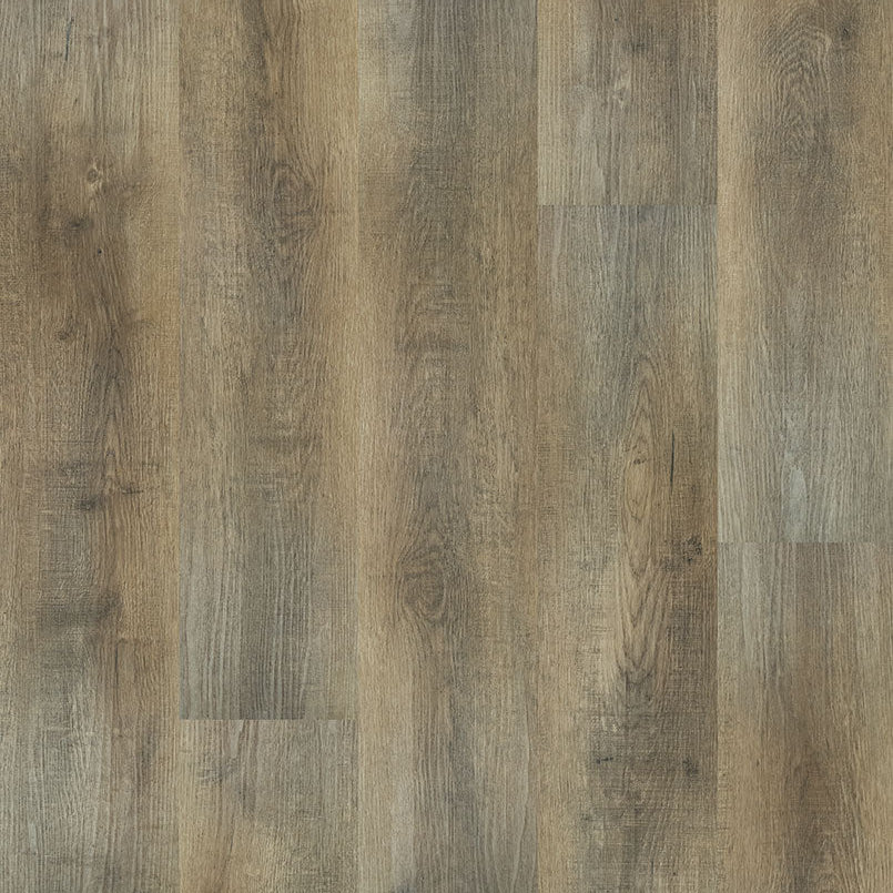 MSI Surfaces - Ashton™ Collection - Maracay Brown