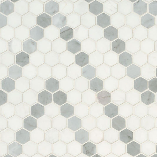 MSI - Bianco Dolomite Collection - Bianco Dolomite Sazi Polished - 1"