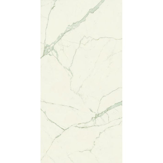 OLYMPIA TILE + STONE - Marmi Europa Series - Porcelain Tile - Calacatta - 24" x 48"
