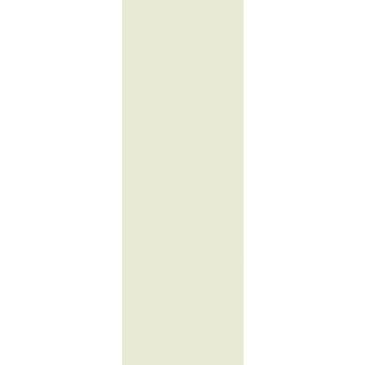 OLYMPIA TILE + STONE - Eclettica Series - Glazed Wall Tile - Cream - 16" x 48"