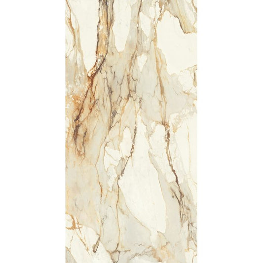 OLYMPIA TILE + STONE - Marmi Europa Series - Porcelain Tile - Calacatta Antique - 24" x 48"