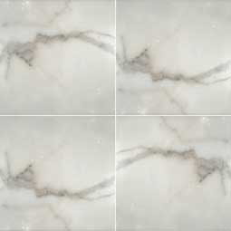 MSI - CALACATTA GOLD HONED - Tile - 12" x 12"