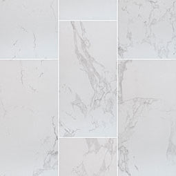 MSI - PRAIA CARRARA MATTE - Tile - 24" x 48"