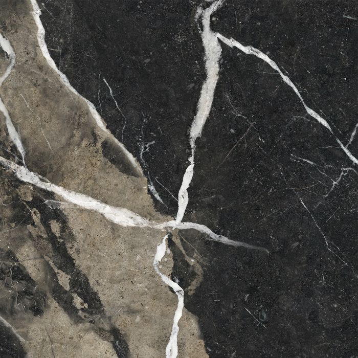OLYMPIA TILE + STONE - Marmi Alpi Series - Porcelain Tile - Calacatta Black - 24" x 24"