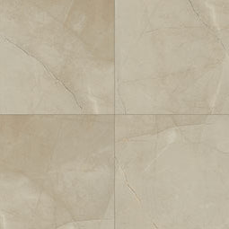 MSI - SANDE CREAM POLISHED - Tile - 24" x 24"
