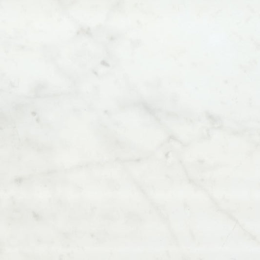 OLYMPIA TILE + STONE - Eterna Series - Porcelain Tile - Carrara White - 24" x 24"