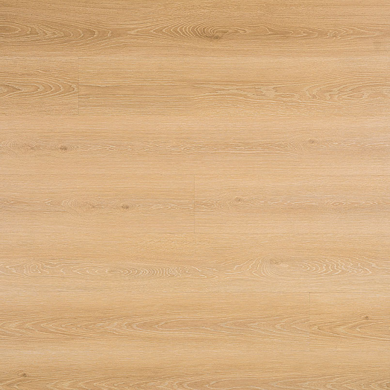 MSI Surfaces - Cyrus® 2.0TM - Valleyview Grove