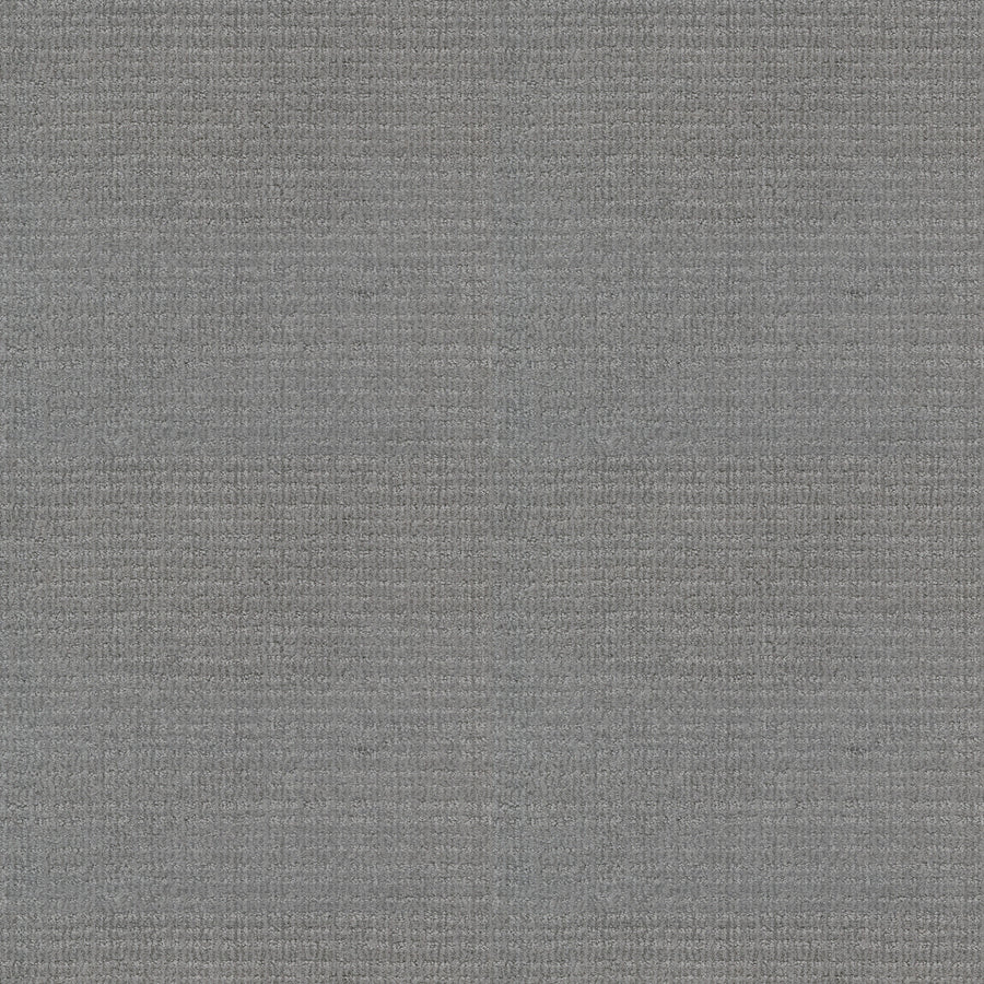 Shaw Floors - Carpet - Classics Collection - Sensible Now - 12' - Silver Springs