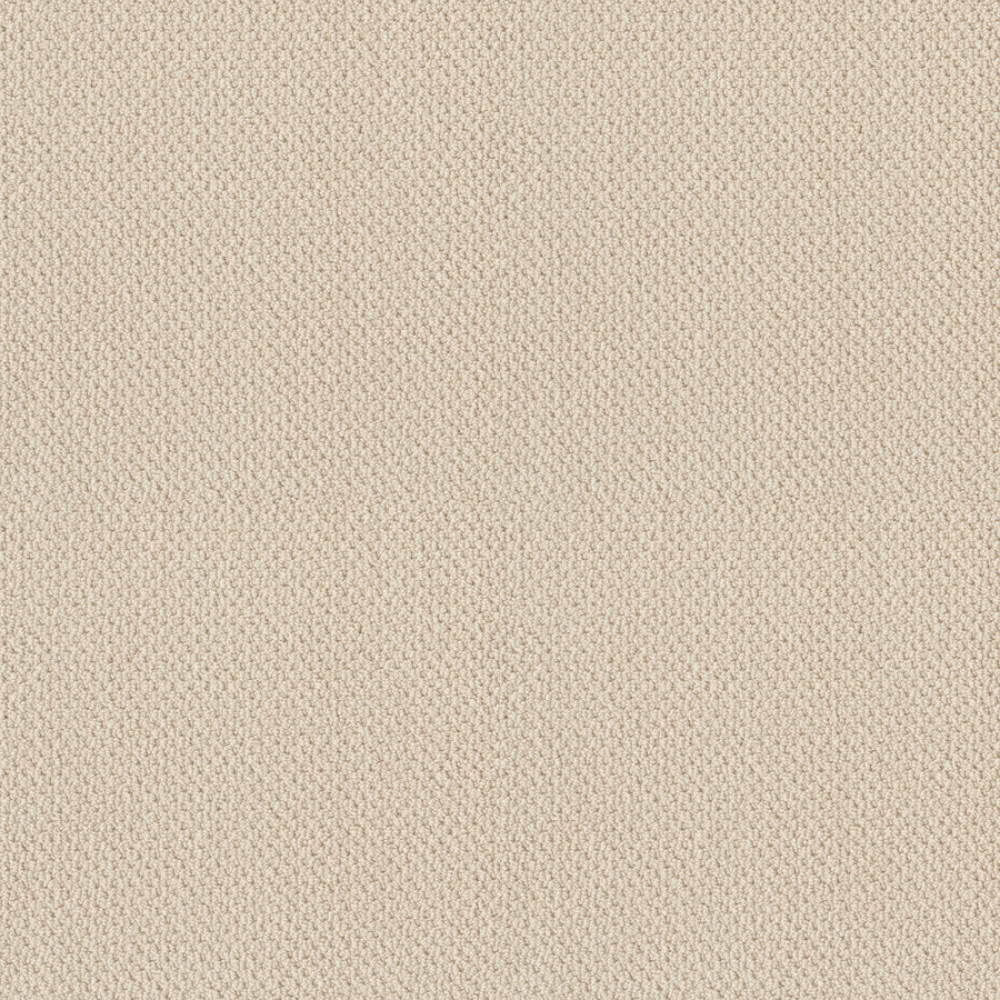 Shaw Floors - Carpet - Classics Collection - Smart Thinking - 12' - Ivory Paper