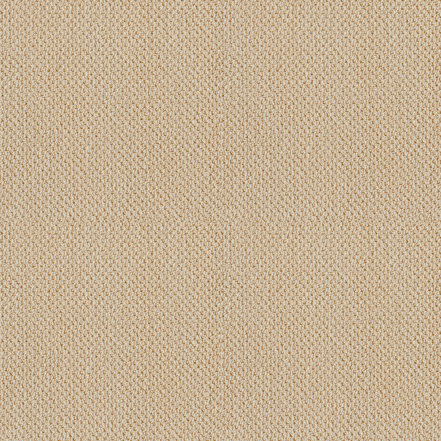 Shaw Floors - Carpet - Classics Collection - Smart Thinking - 12' - Treasure