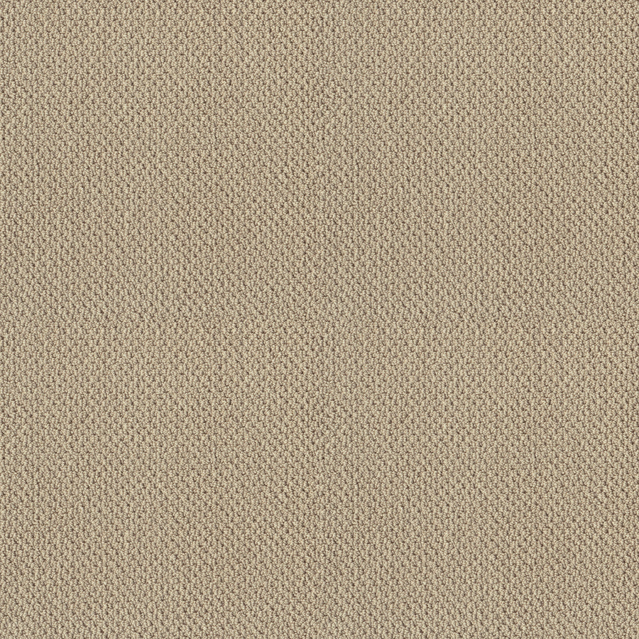 Shaw Floors - Carpet - Classics Collection - Smart Thinking - 12' - Shoreline