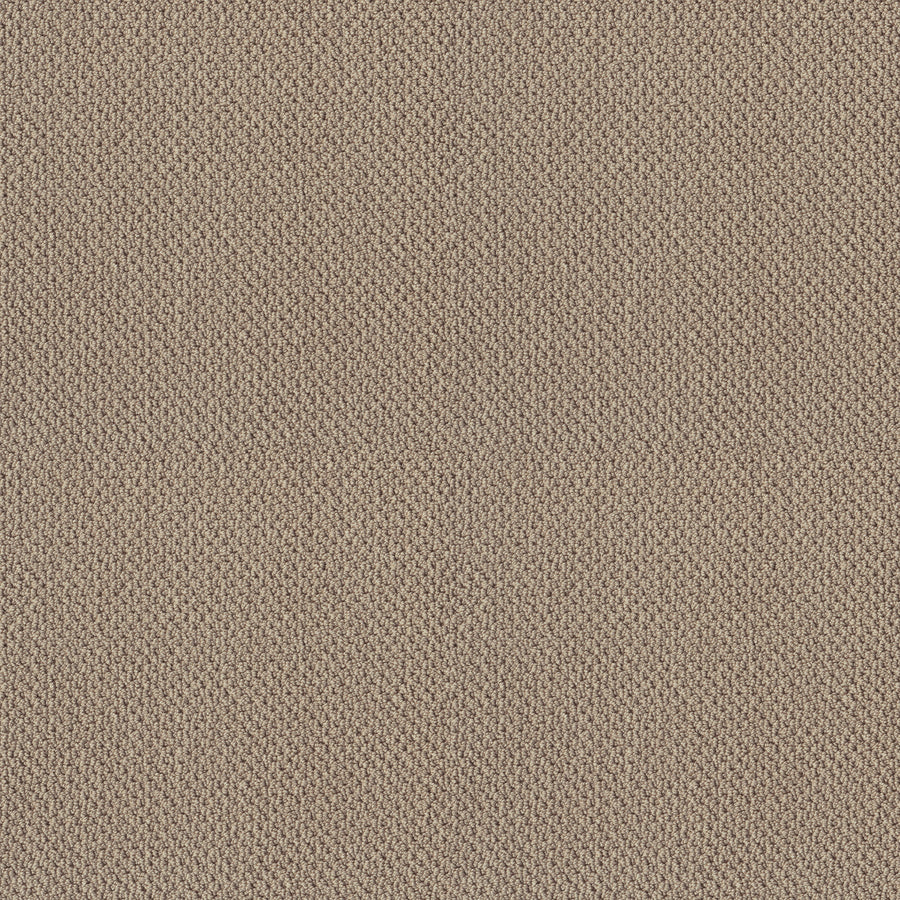 Shaw Floors - Carpet - Classics Collection - Smart Thinking - 12' - Espresso
