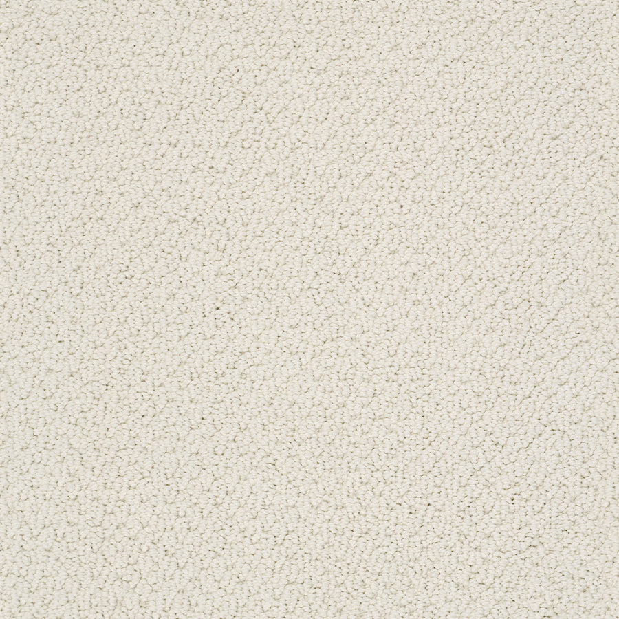 Shaw Floors - Carpet - Classics Collection - Smart Thinking - 12' - Parchment