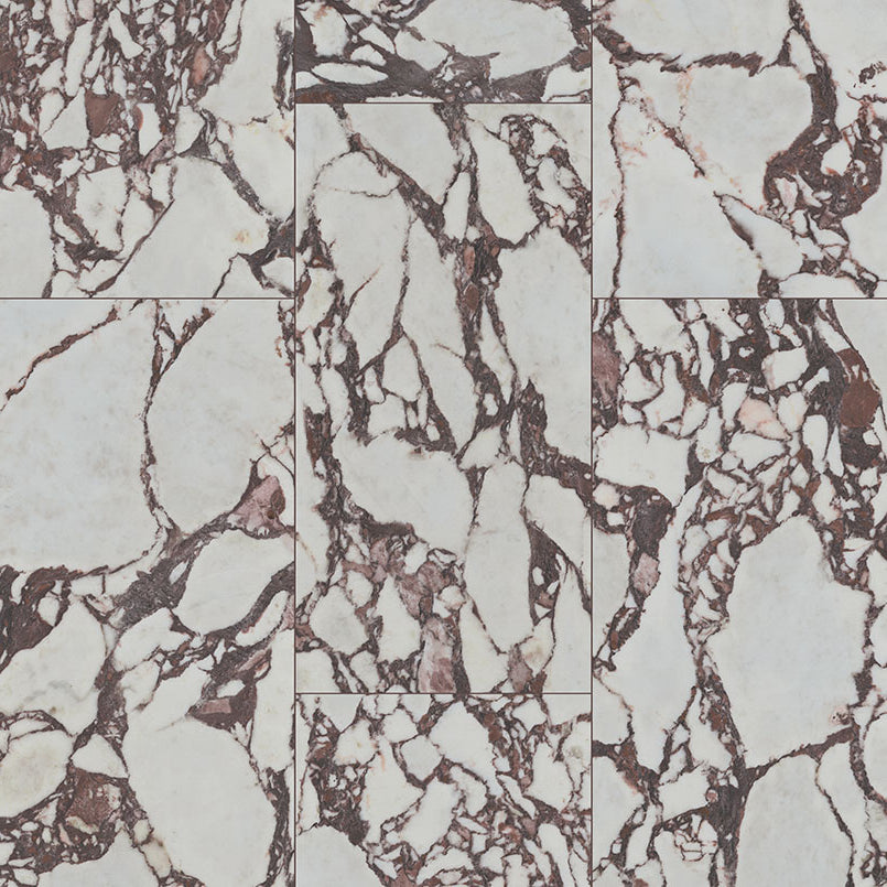 MSI - VIOLETTA POLISHED - Tile - 24" x 48"