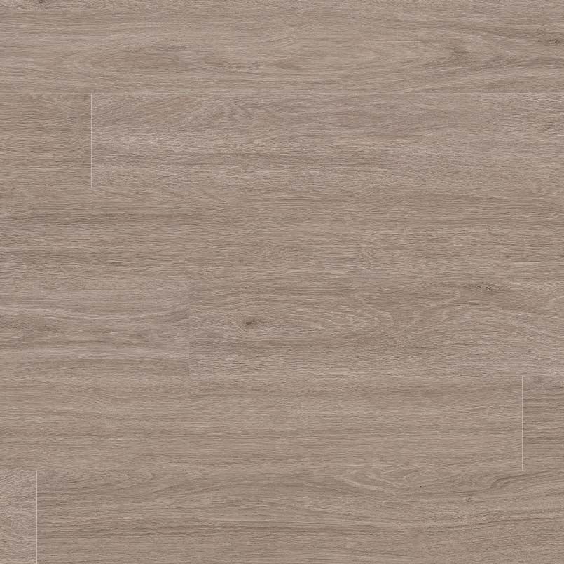 MSI Surfaces - Glenridge - Bleached Elm