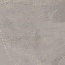 MSI - SANDE GREY POLISHED - Tile - 48" x 48"