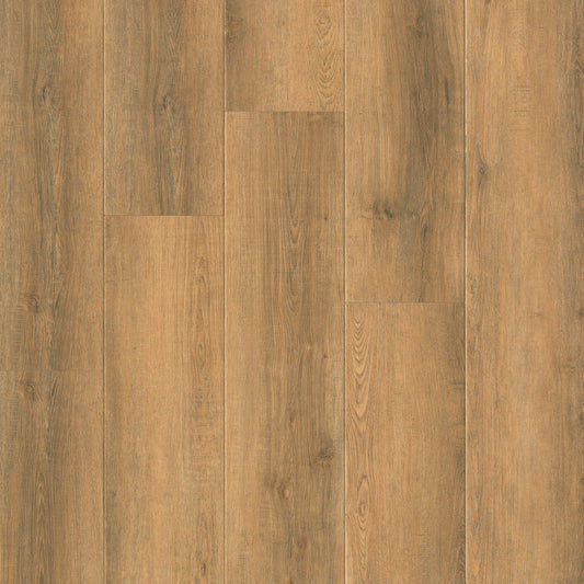 MSI - Wayne Parc™ Reserve Collection - Macland - 9” x 72”