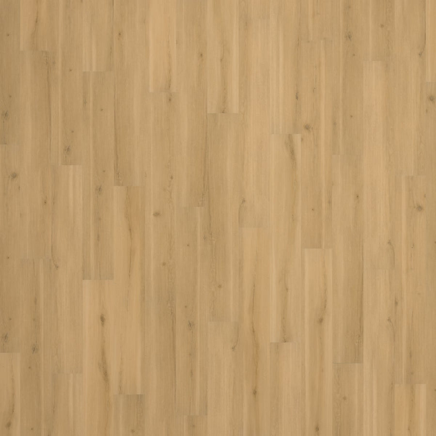 Mannington Adura Max Swiss Oak Praline luxury vinyl plank