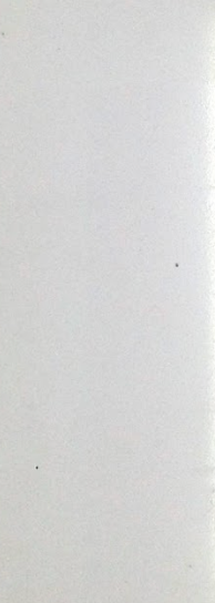 OLYMPIA TILE + STONE - Shower Series - Tile - Jamb Arctic White - 24" x 24"