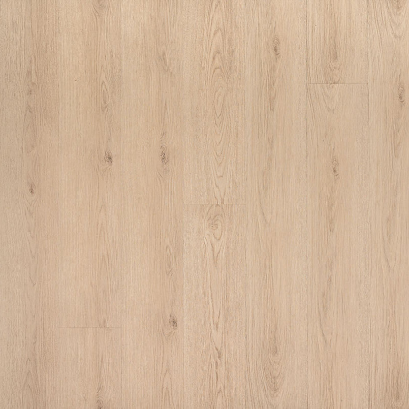 MSI Surfaces - Prescott® Collection - Chester Hills