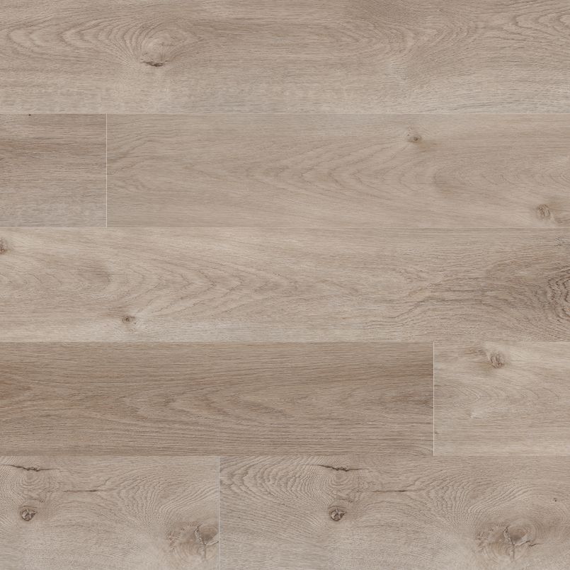 MSI Surfaces - Prescott® Collection - Whitfield Gray