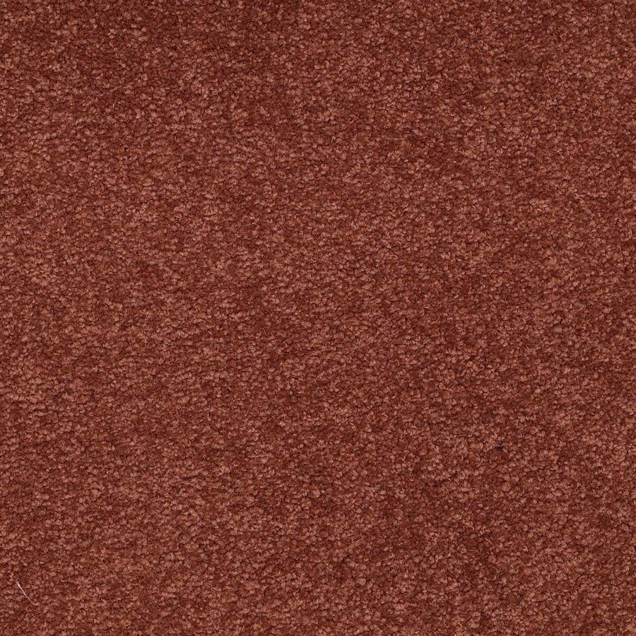 Shaw Floors - Carpet - Sandy Hollow II - 15' - Spanish Tile