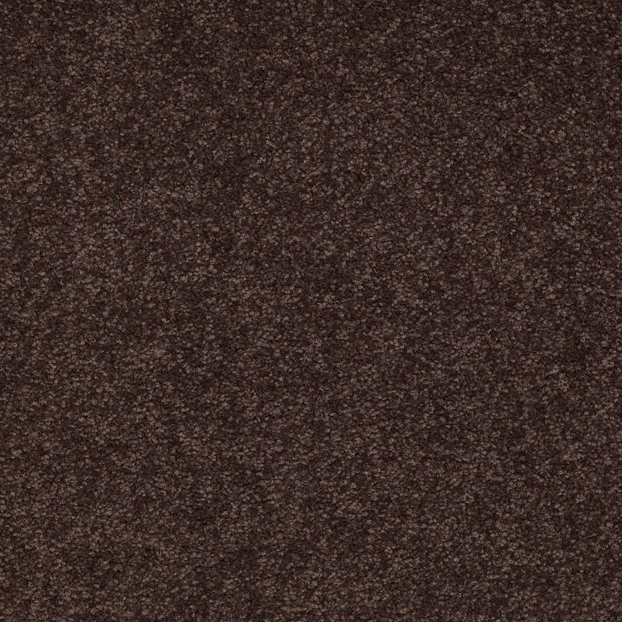 Shaw Floors - Carpet - Sandy Hollow III - 15' - Tundra