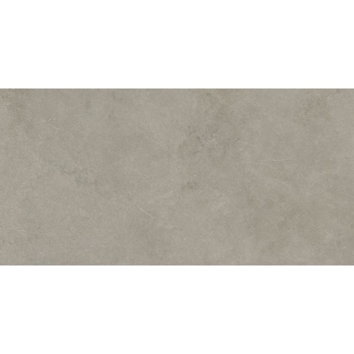 OLYMPIA TILE + STONE - Absolute Series - Porcelain Tile - Rupe - 24" x 48"