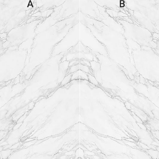 OLYMPIA TILE + STONE - Colossal Series - Porcelain Tile - Statuario Bookmatch - 24" x 48"