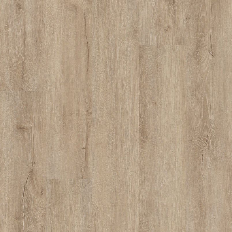 MSI Surfaces - Cyrus® 2.0TM - Sandino