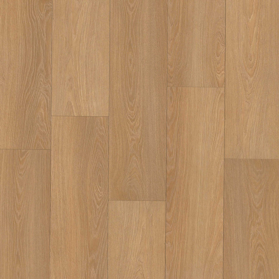 MSI - Shorecliffs™ Collection - Wallingford Blonde - 9” x 87"