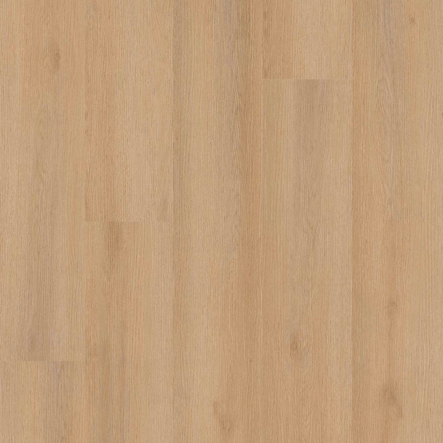 MSI - Studio Quillian - Luxury Vinyl Plank - 9” x 48”