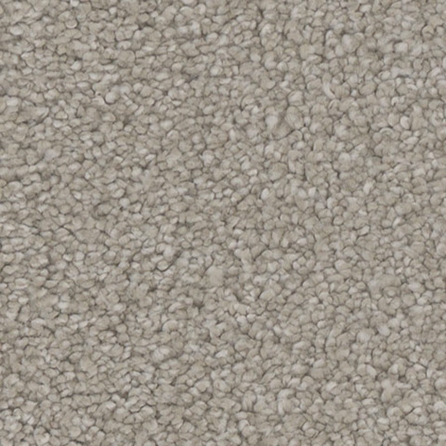 Tarkett Allure Charisma carpet swatch