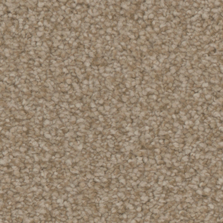 Tarkett Avalon Cottage carpet swatch