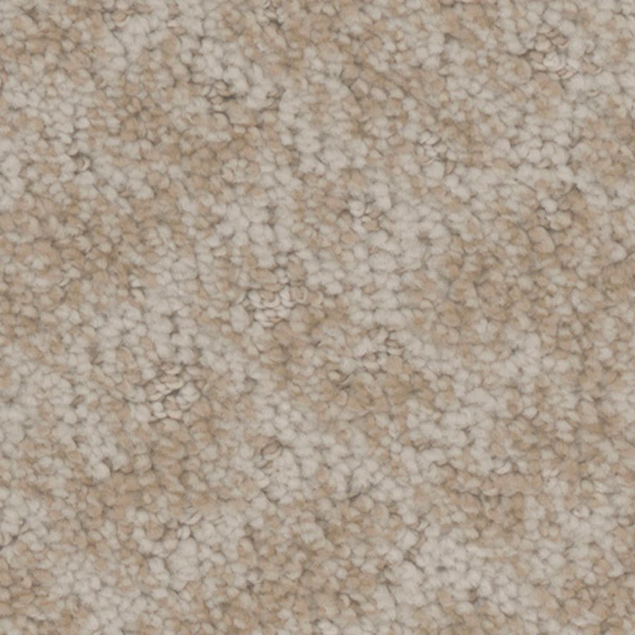Tarkett Cheshire Storybook carpet swatch