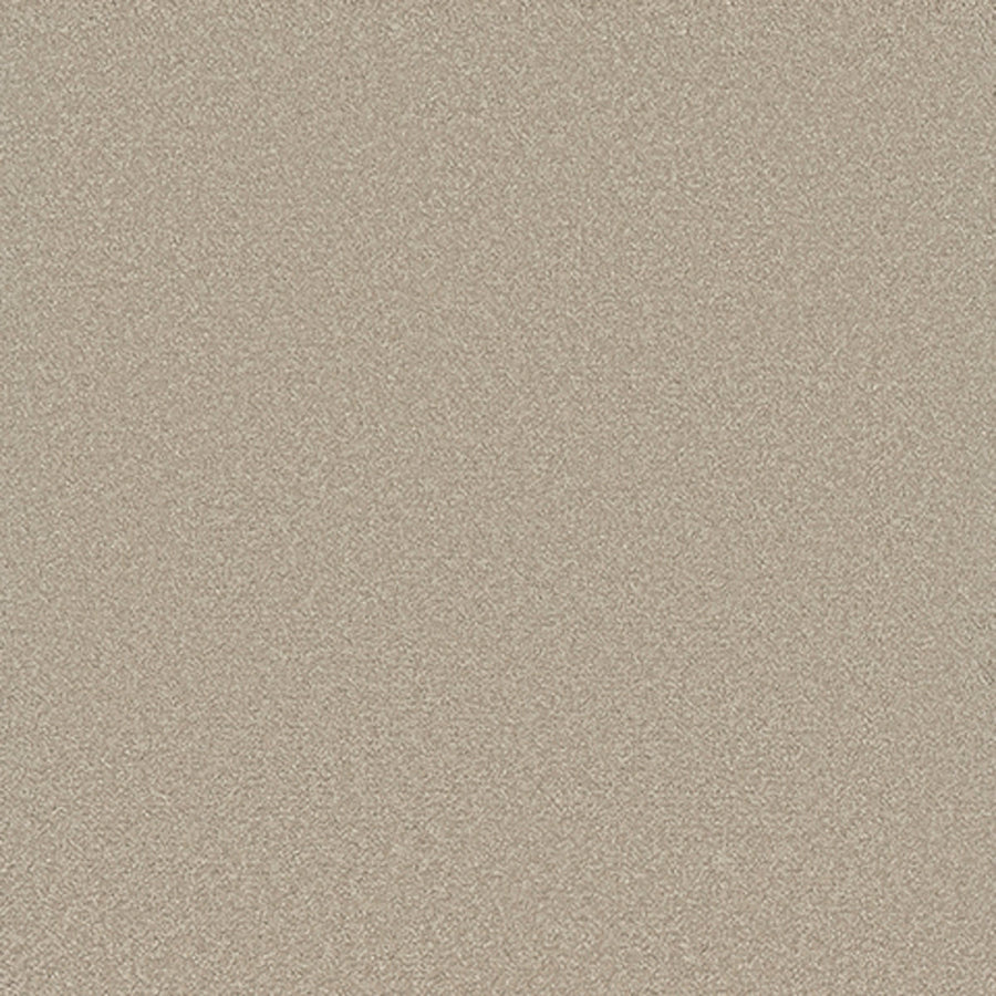 Tarkett Eterna Enduring carpet swatch