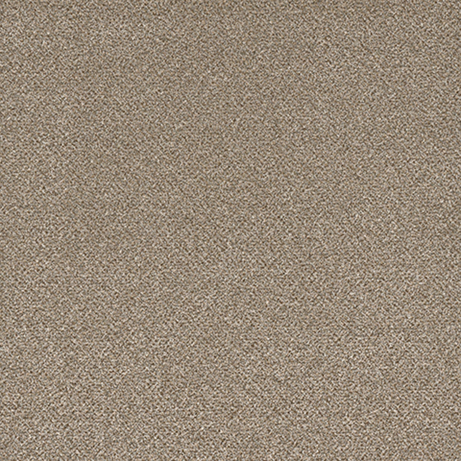 Tarkett Eterna Chateau carpet swatch