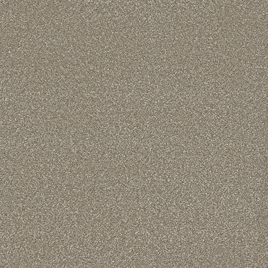 Tarkett Eterna Vineyard carpet swatch
