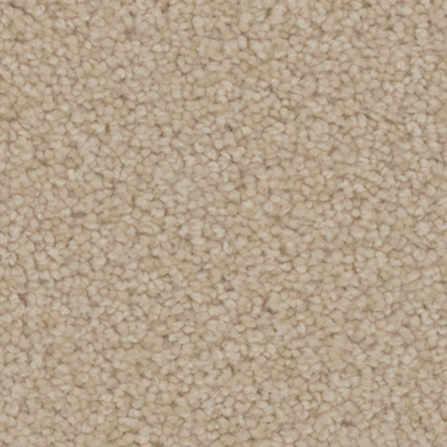 Tarkett Providence Townlet carpet swatch