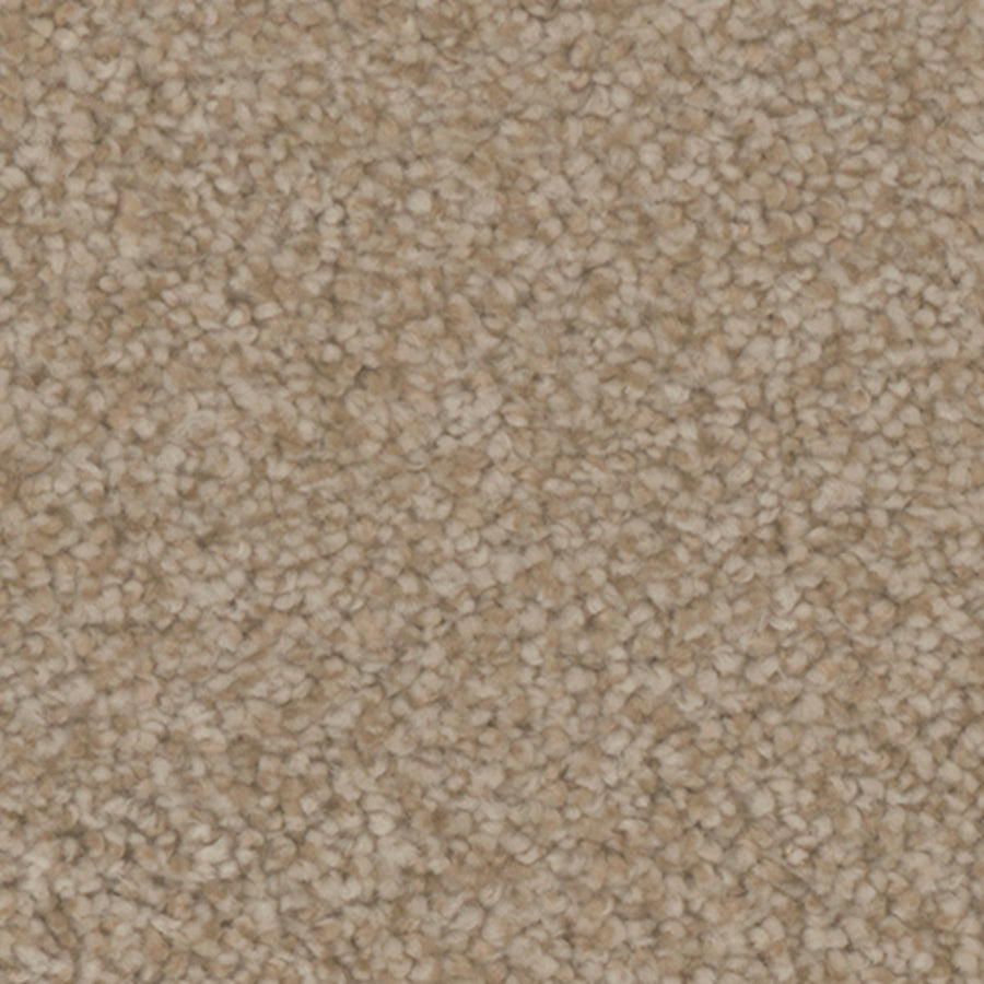 Tarkett Providence Cottage carpet swatch