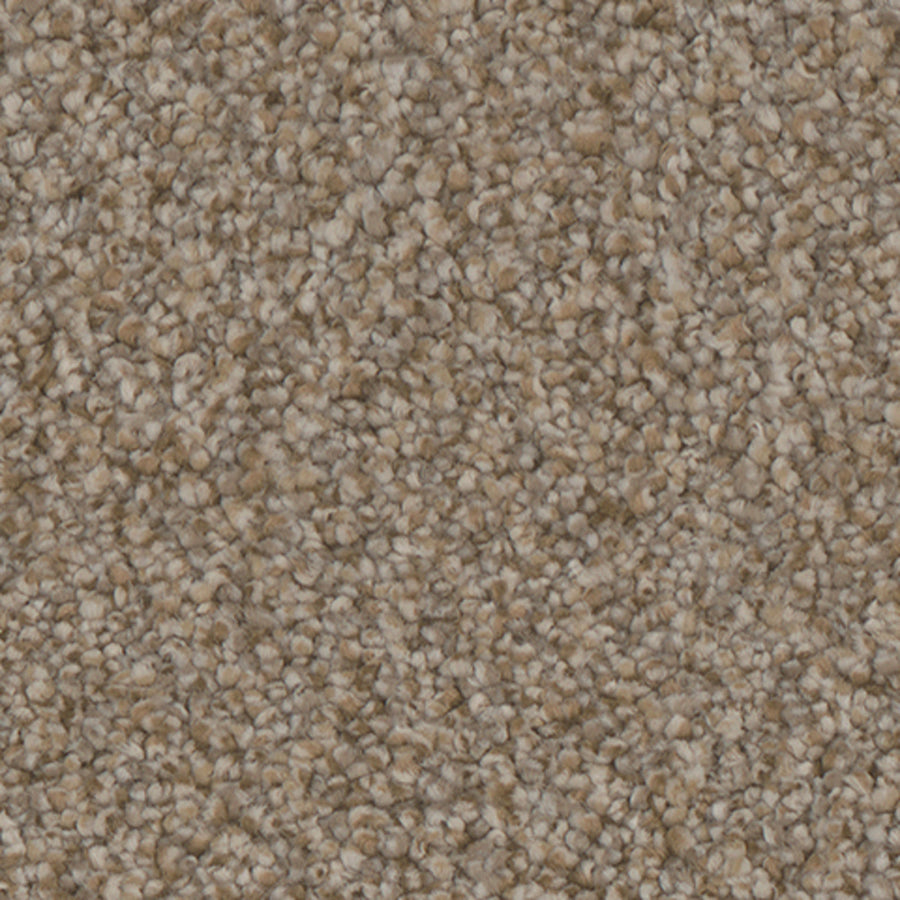 Tarkett Riviera Lavish carpet swatch