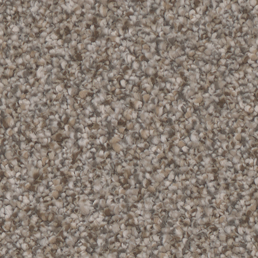 Tarkett Riviera Chic carpet swatch