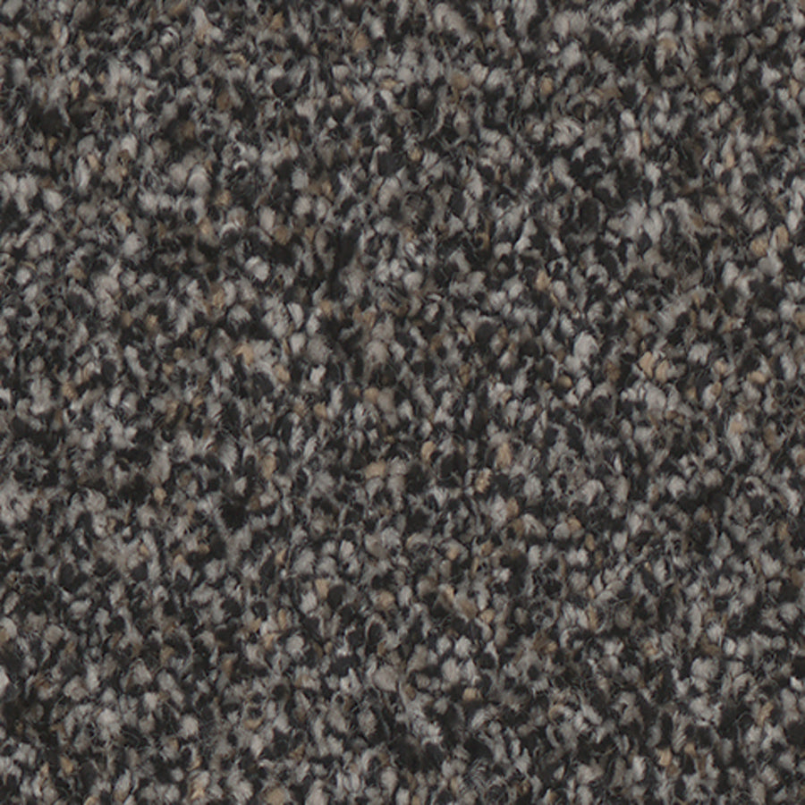 Tarkett Riviera Stunning carpet swatch