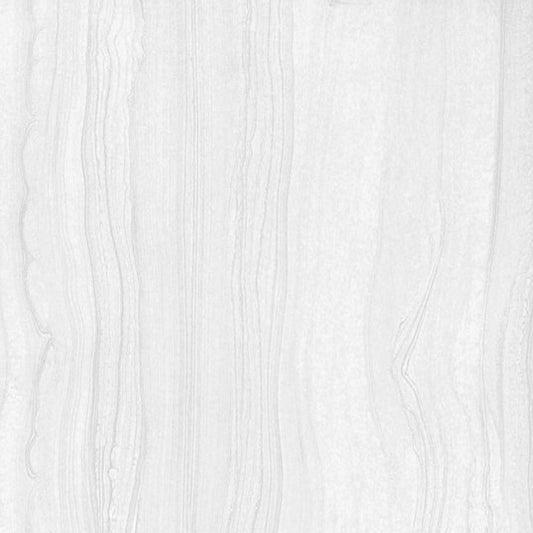 OLYMPIA TILE + STONE - Timeless Series - Porcelain Tile - White - 24" x 24"