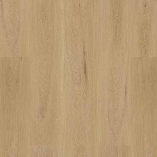 BIYORK - HydroGen 7 - Kashmir